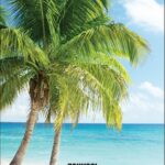 Zanussi GWH 10 Fonte Glass[GWH10FONTEGLASSPARADISO]