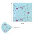 Самоклеюча 3D панель 700х770х4мм Блакитні кульбаби (322) SW-00001362 - Зображення 3