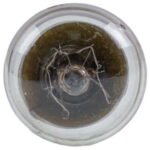 Лампочка для духовки Whirlpool 484000000984 15W 220V E14 300°C - Зображення 4